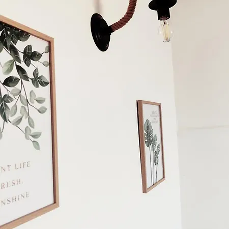 Apartment Biancospino Genoa